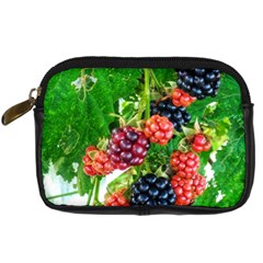 Blackberries Digital Camera Leather Case by okhismakingart