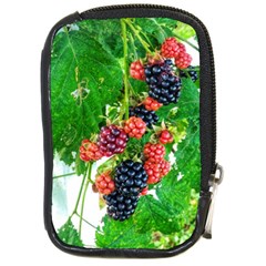 Blackberries Compact Camera Leather Case by okhismakingart