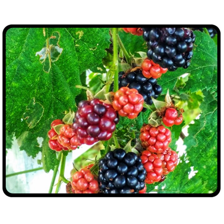 Blackberries Fleece Blanket (Medium) 