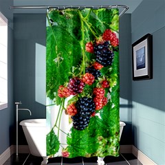 Blackberries Shower Curtain 36  X 72  (stall)  by okhismakingart