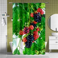 Blackberries Shower Curtain 48  X 72  (small)  by okhismakingart