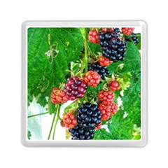 Blackberries Memory Card Reader (square) by okhismakingart