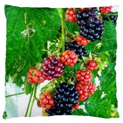 Blackberries Large Flano Cushion Case (two Sides) by okhismakingart