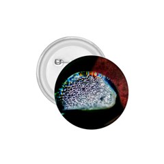 Rainbow Water Droplet 1.75  Buttons