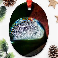 Rainbow Water Droplet Ornament (oval) by okhismakingart