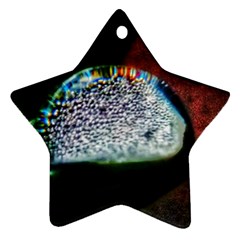 Rainbow Water Droplet Ornament (star) by okhismakingart