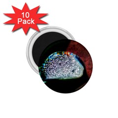 Rainbow Water Droplet 1 75  Magnets (10 Pack)  by okhismakingart