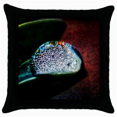 Rainbow Water Droplet Throw Pillow Case (black) by okhismakingart