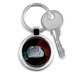 Rainbow Water Droplet Key Chains (round)  by okhismakingart