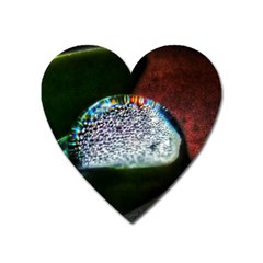 Rainbow Water Droplet Heart Magnet by okhismakingart