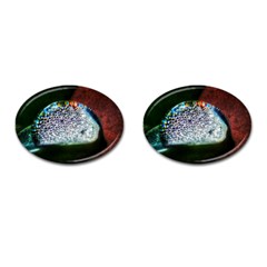 Rainbow Water Droplet Cufflinks (Oval)