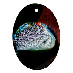 Rainbow Water Droplet Oval Ornament (two Sides) by okhismakingart