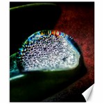 Rainbow Water Droplet Canvas 8  x 10  8.15 x9.66  Canvas - 1