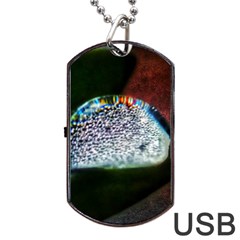 Rainbow Water Droplet Dog Tag Usb Flash (two Sides) by okhismakingart