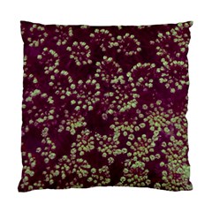 Pink And Green Queen Annes Lace (up Close) Standard Cushion Case (one Side) by okhismakingart