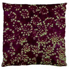 Pink And Green Queen Annes Lace (up Close) Large Cushion Case (two Sides) by okhismakingart