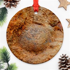 Shell Fossil Ii Ornament (round) by okhismakingart