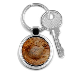 Shell Fossil Ii Key Chains (round)  by okhismakingart