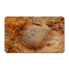 Shell Fossil Ii Magnet (rectangular) by okhismakingart