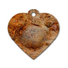 Shell Fossil Ii Dog Tag Heart (one Side) by okhismakingart