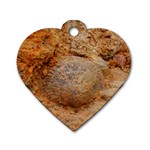 Shell Fossil II Dog Tag Heart (Two Sides) Front