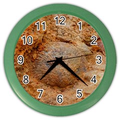 Shell Fossil Ii Color Wall Clock by okhismakingart