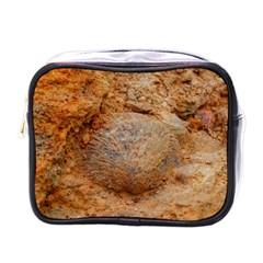 Shell Fossil Ii Mini Toiletries Bag (one Side) by okhismakingart