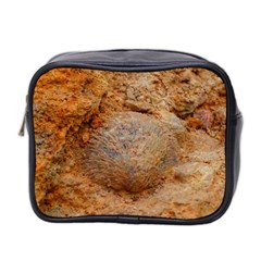 Shell Fossil Ii Mini Toiletries Bag (two Sides) by okhismakingart