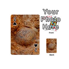 Shell Fossil Ii Playing Cards 54 (mini) by okhismakingart