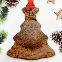 Shell Fossil Ii Ornament (christmas Tree)  by okhismakingart