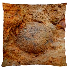 Shell Fossil Ii Large Cushion Case (one Side) by okhismakingart