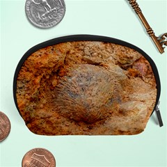 Shell Fossil Ii Accessory Pouch (large) by okhismakingart