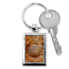 Shell Fossil Ii Key Chains (rectangle)  by okhismakingart