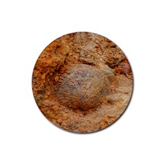 Shell Fossil Ii Rubber Coaster (round)  by okhismakingart