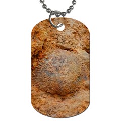 Shell Fossil Ii Dog Tag (one Side) by okhismakingart