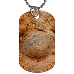 Shell Fossil II Dog Tag (Two Sides) Front