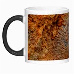 Shell Fossil II Morph Mugs Left