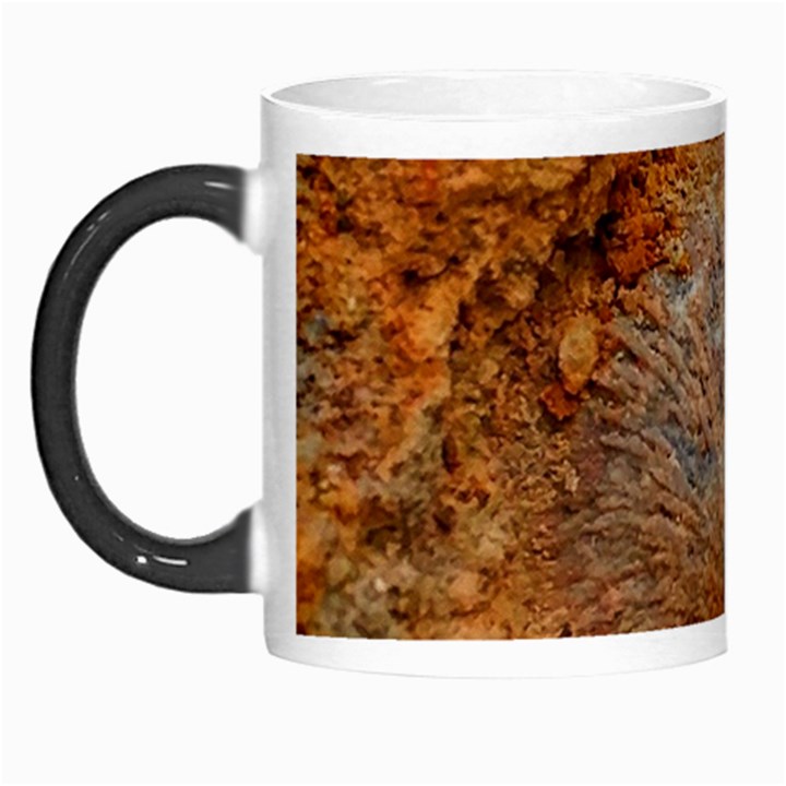 Shell Fossil II Morph Mugs