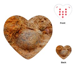 Shell Fossil Ii Playing Cards (heart)