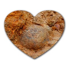 Shell Fossil Ii Heart Mousepads by okhismakingart