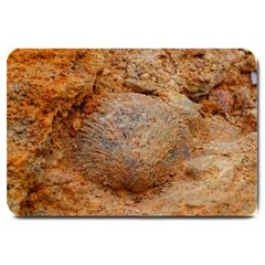 Shell Fossil Ii Large Doormat  by okhismakingart