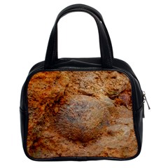 Shell Fossil Ii Classic Handbag (two Sides) by okhismakingart