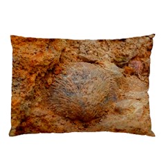 Shell Fossil Ii Pillow Case by okhismakingart