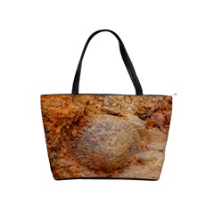 Shell Fossil Ii Classic Shoulder Handbag by okhismakingart