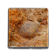 Shell Fossil Ii Memory Card Reader (square 5 Slot) by okhismakingart