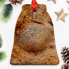 Shell Fossil Ii Ornament (bell) by okhismakingart