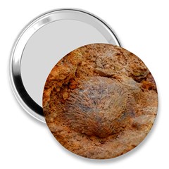 Shell Fossil Ii 3  Handbag Mirrors by okhismakingart