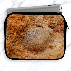 Shell Fossil Ii Apple Ipad 2/3/4 Zipper Cases by okhismakingart