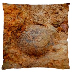 Shell Fossil Ii Large Flano Cushion Case (two Sides) by okhismakingart