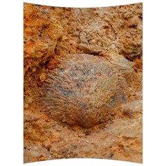 Shell Fossil Ii Back Support Cushion by okhismakingart